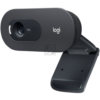 Logitech C505e - BLK - WW