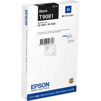 Epson Tintenpatrone schwarz (C13T90814N, T9081)