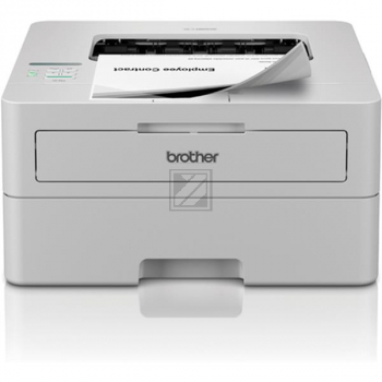 Brother HL-L 2865 DW (HLL2865DWRE1)