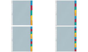 Durable Hüllenregister mit 10 farbigen Tabs 10er-Pack (6632)