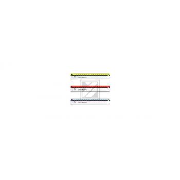 HERLITZ my.pen Massstab 17cm 11367984 Farben assortiert, Blister
