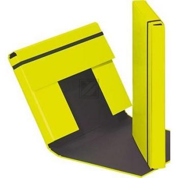 Aulfes Sammelbox A4 Trend Lime