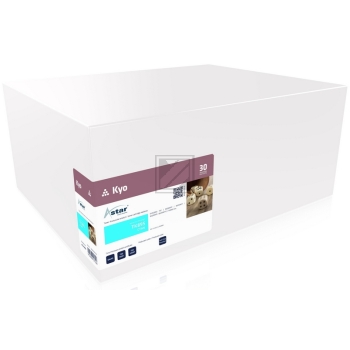 Astar Toner-Kit cyan (AS14895) ersetzt TK-895C