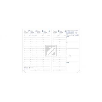 QUO-VADIS Universitaire 1W/2S Ersatz fr 28004 10x15cm