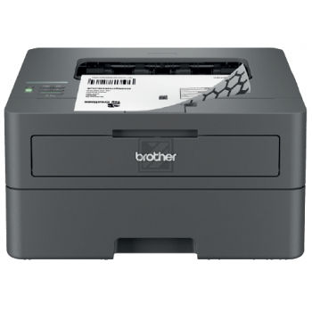 Brother HL-L 2400 DW (HLL2400DWRE1)