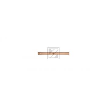 PAGNA Lineal 50cm 719500000 Metalleinlage Buche