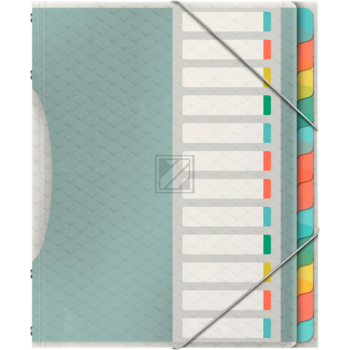 ESSELTE Ordnungsmappe A4 626256 Colour'Ice, 12-teilig, farbig