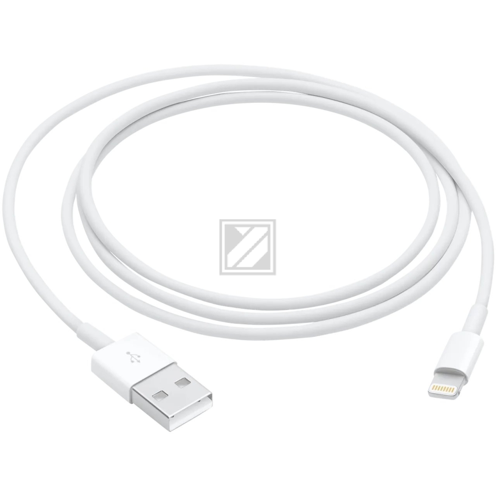 Apple Lightning auf USB Kabel (1 m)